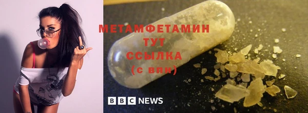 прущие грибы Пересвет