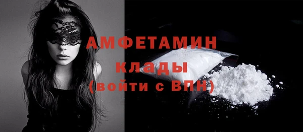 прущие грибы Пересвет
