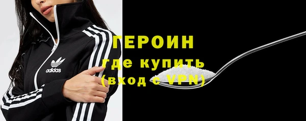 прущие грибы Пересвет