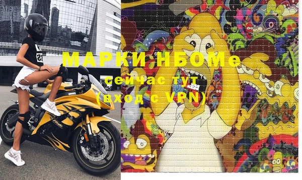 прущие грибы Пересвет