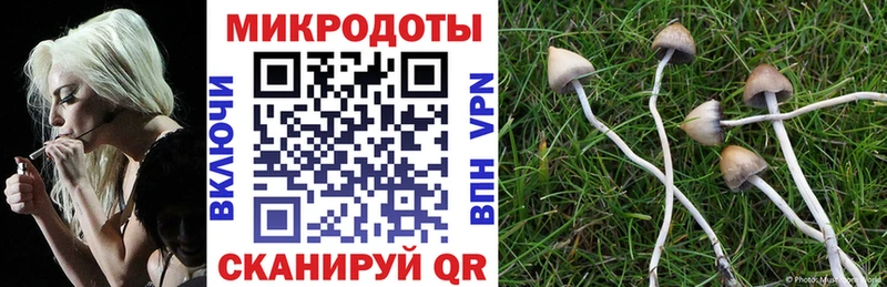 Купить где Углич Псилоцибиновые грибы Cubensis